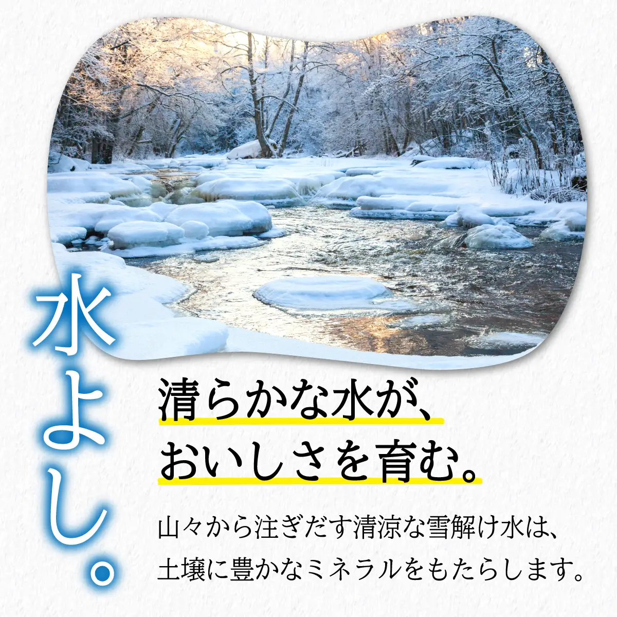岩手県産 無洗米 ひとめぼれ 5kg 無洗
