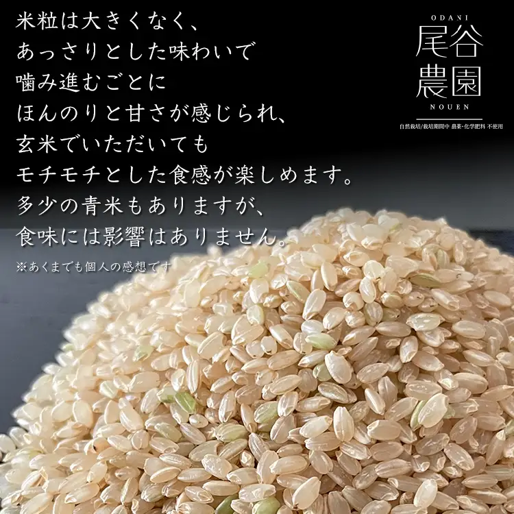 【早期予約】【12ヶ月定期便】【令和8年度産米】尾谷農園 自然栽培米コシヒカリ 玄米5kg ※2026年10月～発送