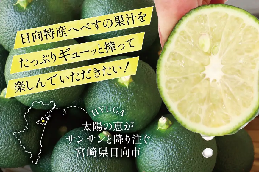 【期間限定発送】 黒木へべすファーム自慢の《露地》 へべす 2kg
