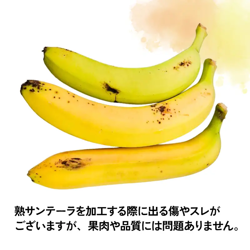 訳あり バナナ ＆ 熟サンテーラ バナナ 計約4.8kg 徳田青果 F010-194002