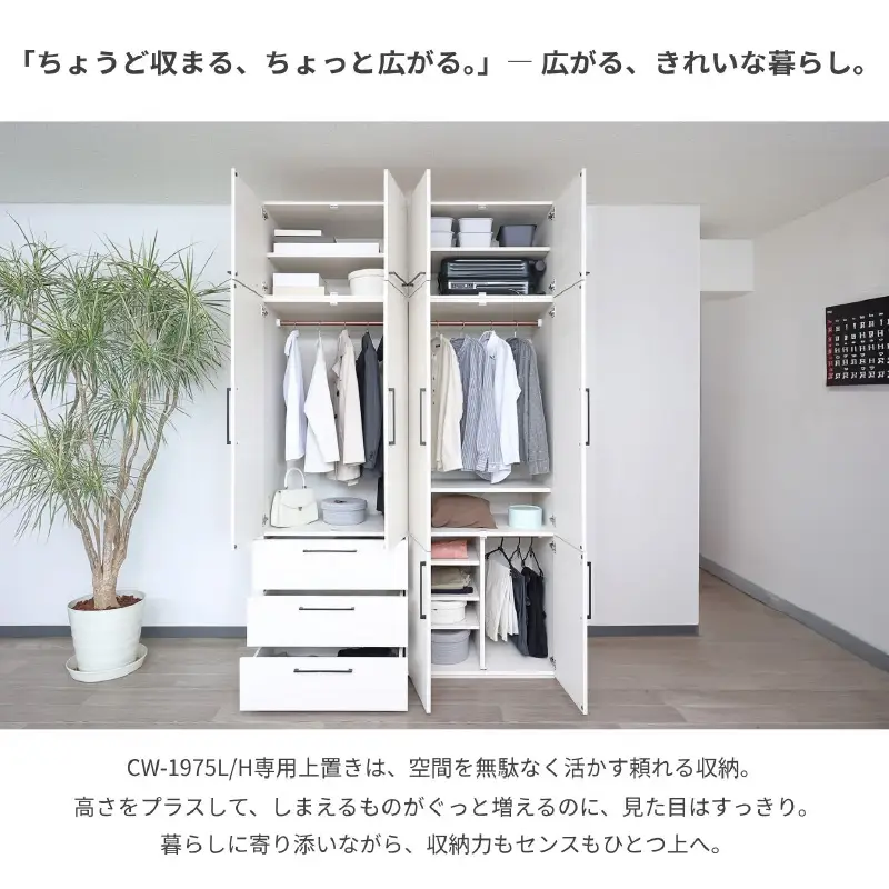 [CWシリーズ専用上置き] 洋服収納 CW-5075UP ホワイト 収納 収納家具[D-18806_01]