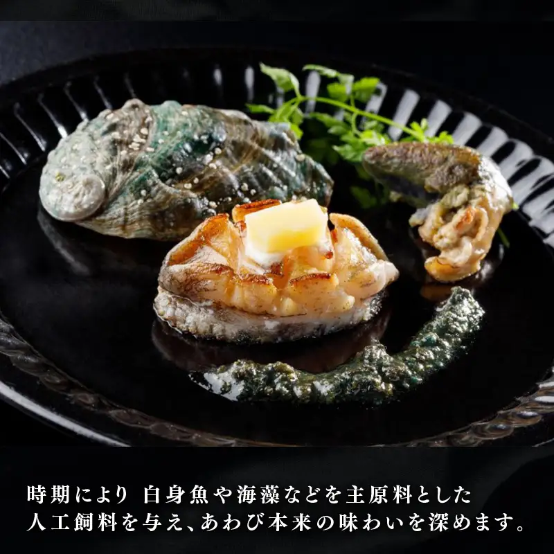 【2026年11月30日発送！！】 訳あり 三陸翡翠あわび 30g×6個