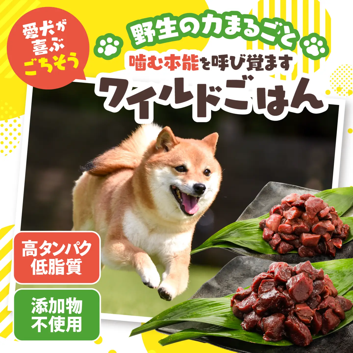 【愛犬用】カット鹿肉（ぶつ切り）2kg（200g×10P）＜ペット ペットフード 犬 ワンちゃん個包装 餌 毎日 ジビエ 犬用 おやつ 鹿肉 愛媛県産 鬼北町 ドッグフード 冷凍殺菌 特定非営利活動法人Cambio＞