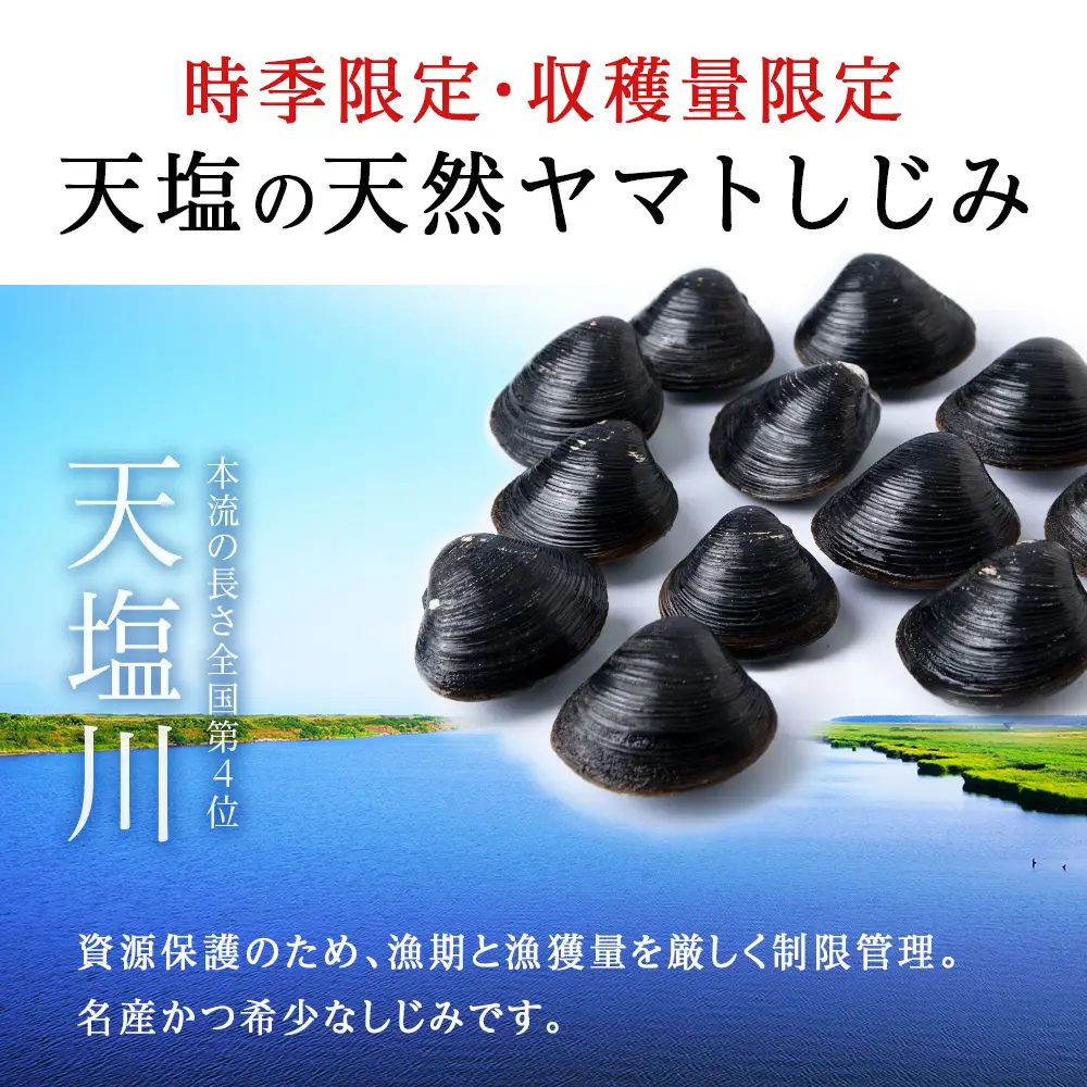 天塩町名産冷凍しじみ【特大サイズ】400g×2パック＜北るもい漁業協同組合 天塩支所＞