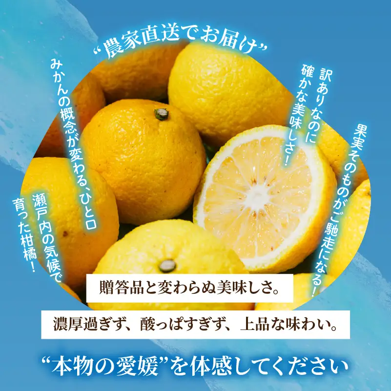 【2027年2月中旬から順次発送】はるか 5kg  家庭用 みかん 柑橘 【RNK028】
