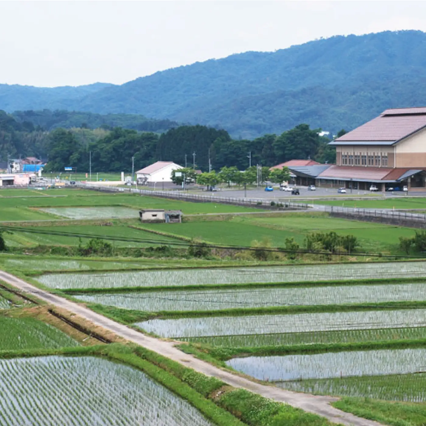 【先行予約】数量限定 令和8年産！邑南町産石見高原瑞穂米5kg