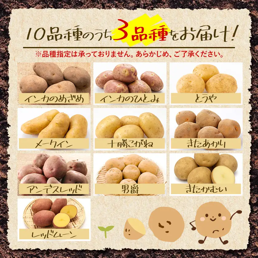 じゃがいも詰め合わせセット 3kg 10種のうち3種をお届け《9月上旬-12月末頃出荷予定》