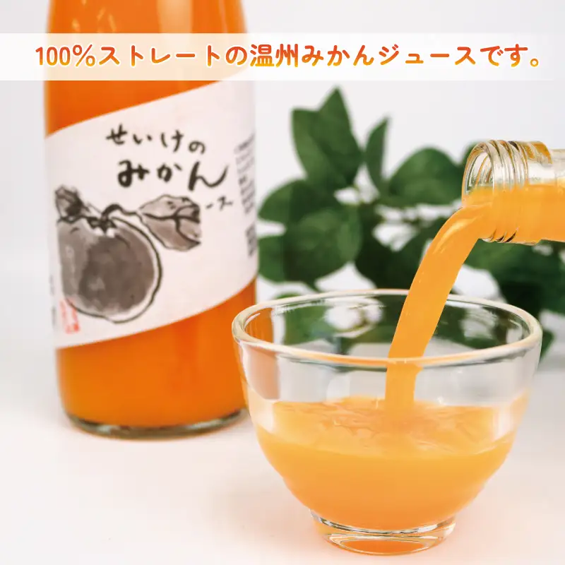 温州みかんジュース 720ml × 2本 贈答用 清家 100％ジュース ストレートジュース ストレート ギフト 柑橘 みかん 温州みかん ジュース mikan ミカン 爽やか 愛媛ミカン 甘い 温州 愛媛みかん 宇和島産 果汁 飲料 果物 くだもの フルーツ 国産 愛媛 宇和島 H010-170005