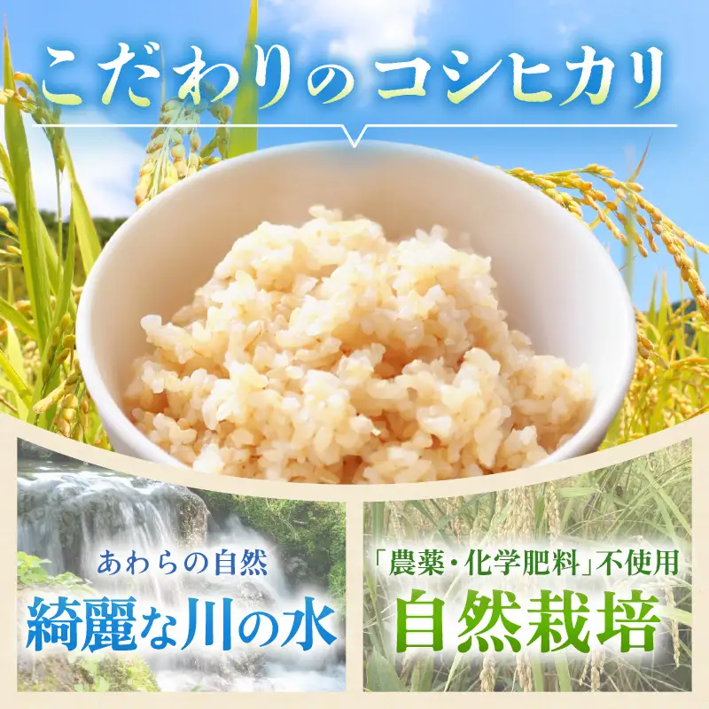 【先行予約】【令和8年産】コシヒカリ 玄米 5kg 化学肥料 農薬不使用 自然栽培米 / 北陸 福井県産 あわら市 ブランド米 玄米 お米 コメ ※2026年10月上旬以降順次発送予定 [aw138-b001]