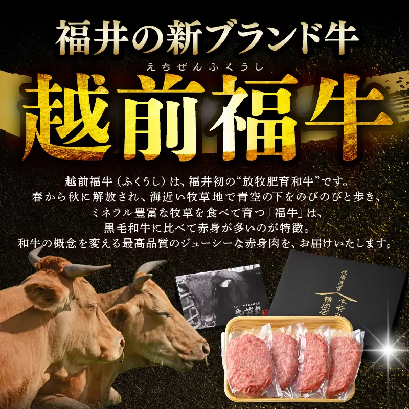 希少 越前福牛100％ ハンバーグ 200g × 4個 牛肉 和牛ハンバーグ 冷凍 贈答 ギフト [A-1806]