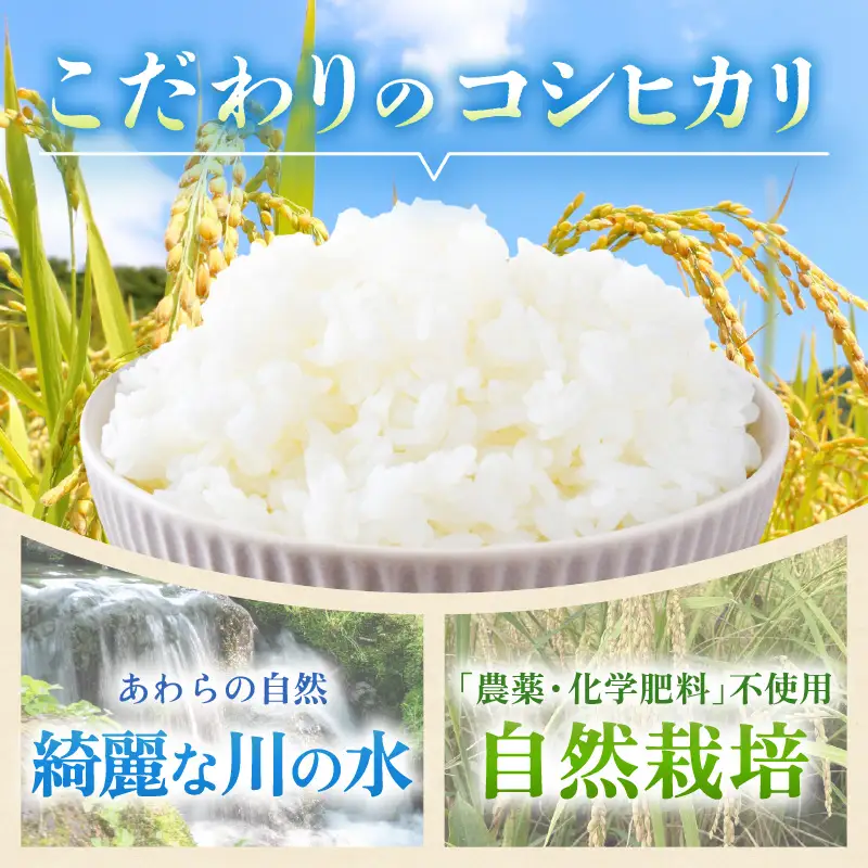 【先行予約】【令和8年産】【定期便】 ≪6ヶ月連続お届け≫ コシヒカリ 精米 5kg×6回 （計30kg） 化学肥料 農薬不使用 自然栽培米 / 北陸 福井県産 あわら市 ブランド米 白米 お米 コメ ※2026年10月上旬以降順次発送予定 [aw138-k002]
