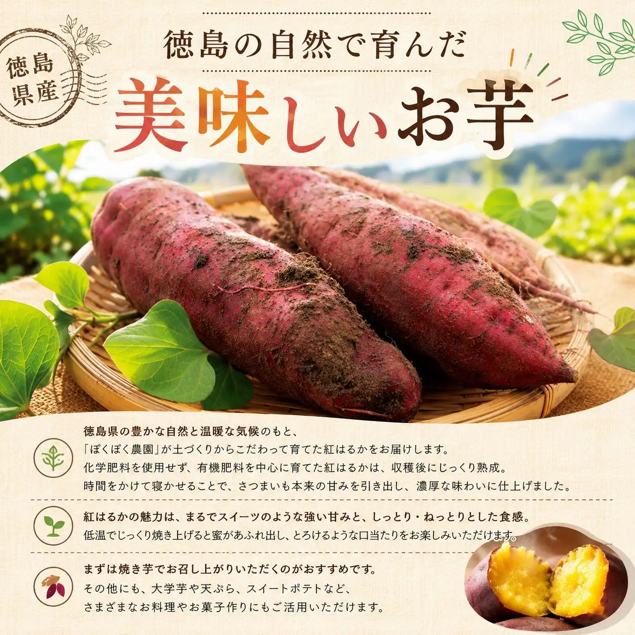 訳あり 紅はるか 5kg 甘三郎