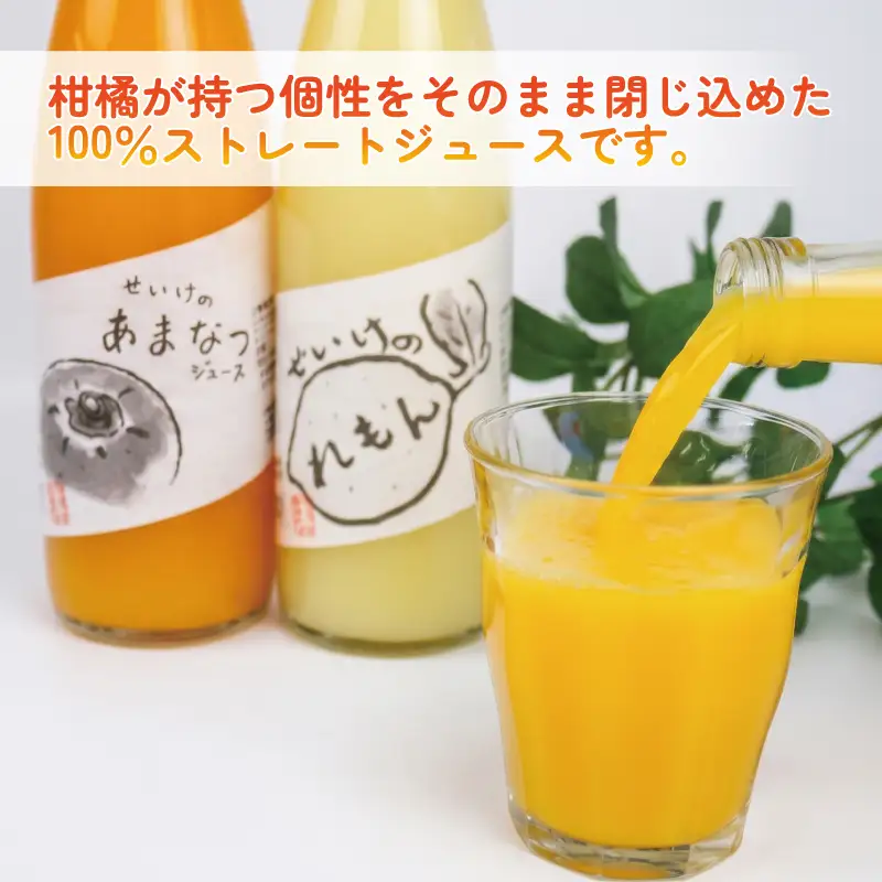 柑橘 ジュース 飲み比べ 720ml×3本 贈答用 清家 ストレート ジュース H014-170006