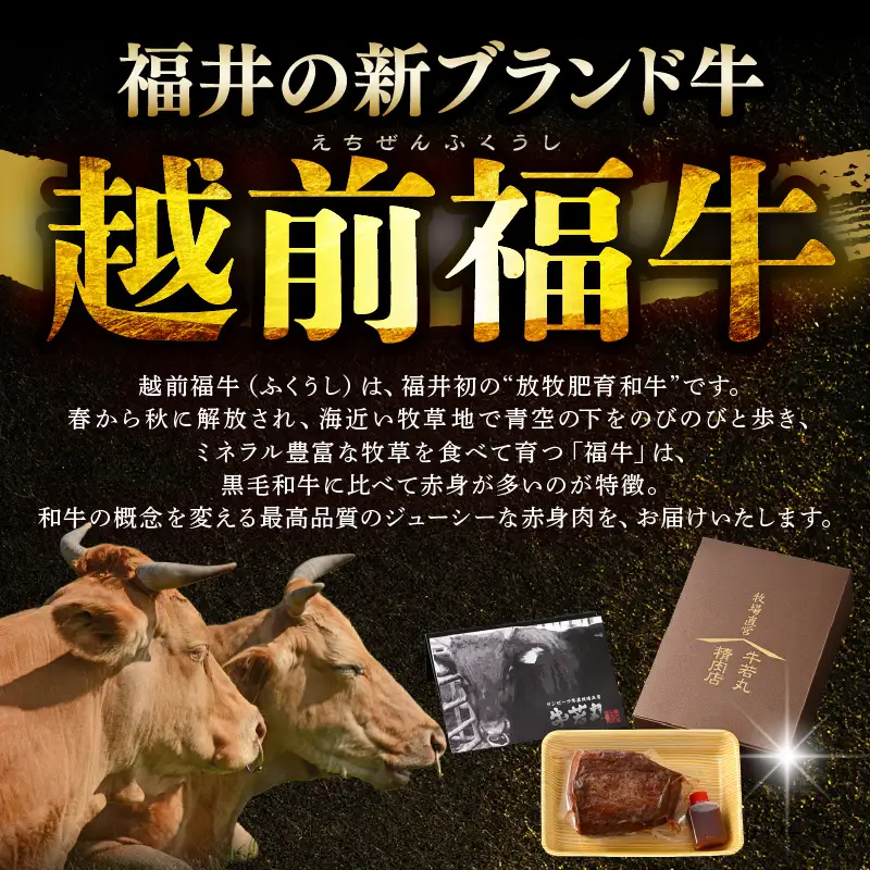 希少 越前福牛 プレミアム ローストビーフ 350g (専用ソース付属) 牛肉 ローストビーフ 冷凍 [B-1807]