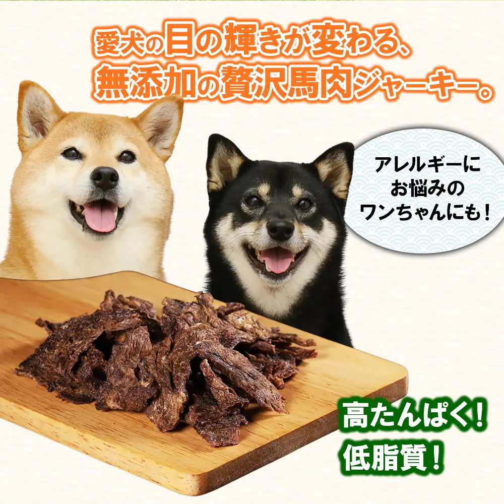 【定期便2回】ペット用馬刺しジャーキー100g