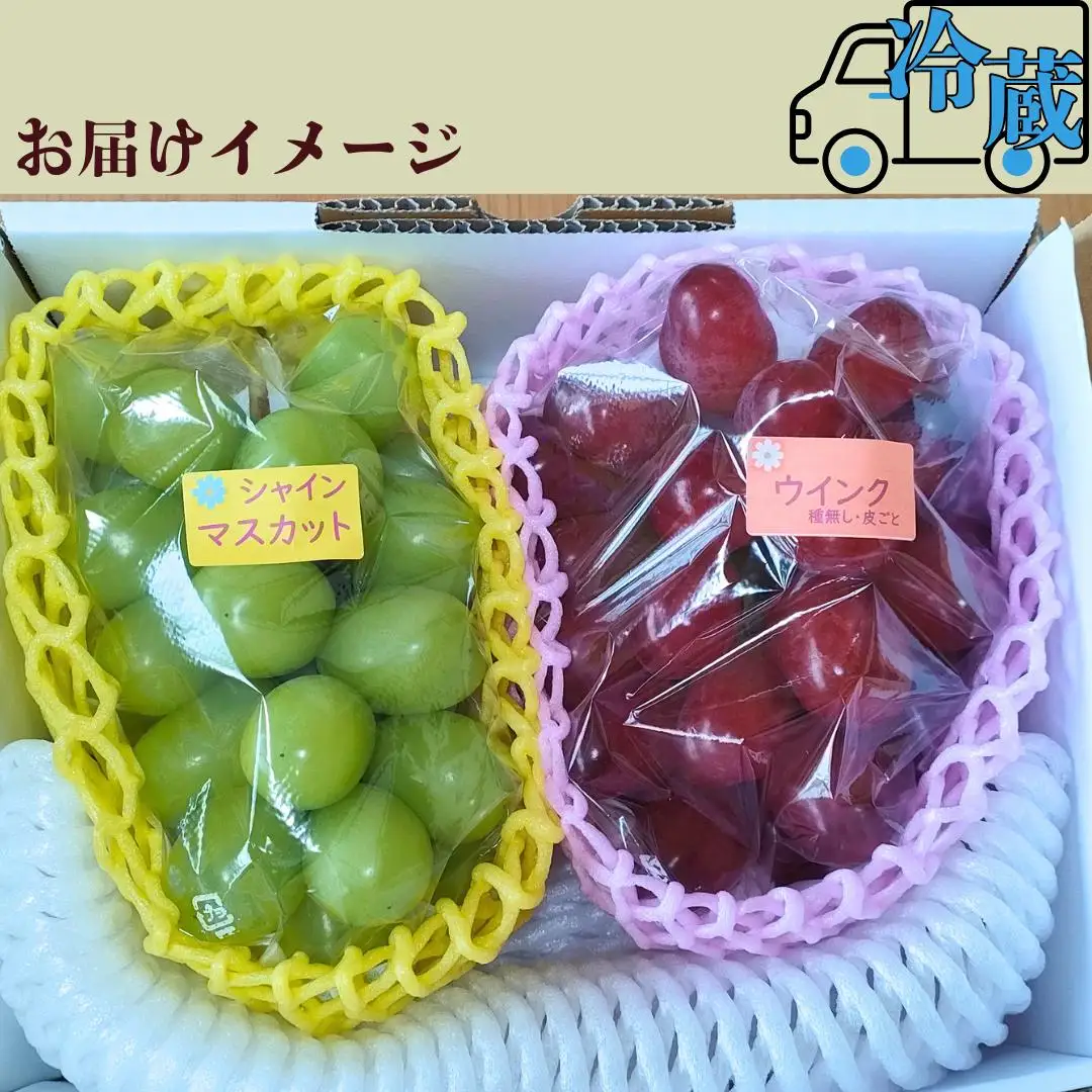 ウインク　約1.1kg（２房）| ぶどう ぶどう