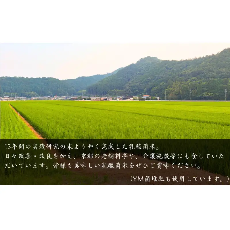 コシヒカリ 京み米 無洗米 5kg 乳酸菌栽培 コシヒカリ