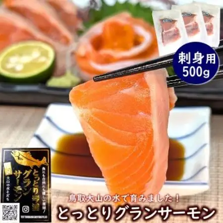 【毎月定期便】山陰の魚屋 山米鮮魚 厳選 国産グランサーモン定期便全4回【配送不可地域：離島】【4090342】