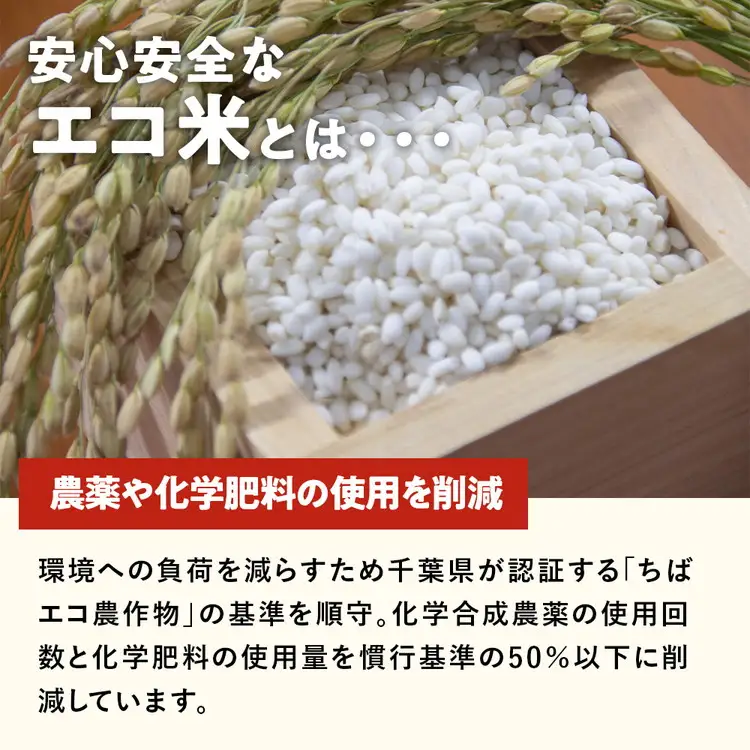 令和8年産米（数量限定）ちばエコ認定米 栄町産 コシヒカリ10kg（5kg袋×2） 長谷川農園｜令和8年産 白米 精米 お米 コメ ごはん お弁当 おにぎり 人気 おすすめ 18-2