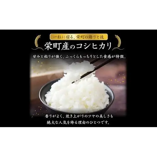 もち米ヒメノモチ3kg（1kg×3袋）+お米 コシヒカリ5kg ※2026年10月～発送 19-5