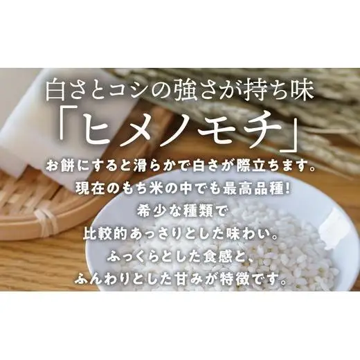 ヒメノモチ 5kg（1kg×5袋）もち米 ※2026年10月～発送 17-4