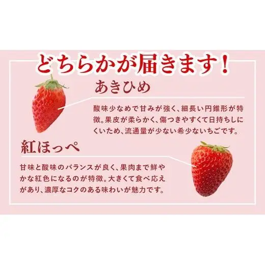 岡戸農園　いちご（4パック）＊「あきひめ」あるいは「紅ほっぺ」数量限定 16ｰ7 ※2027年1月～発送
