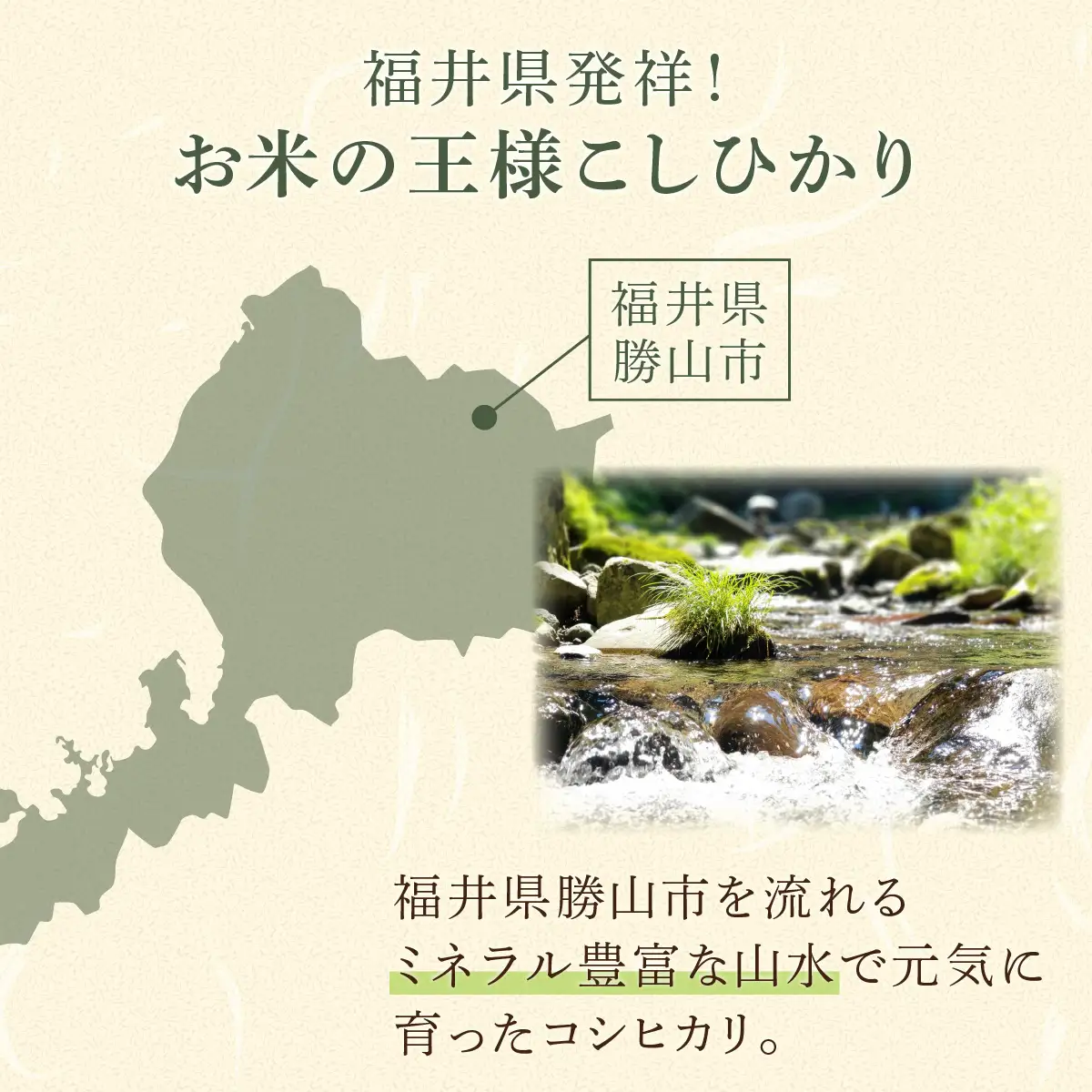 米 コシヒカリ 勝山市産 田中さんち 精米 5kg [A-080011]