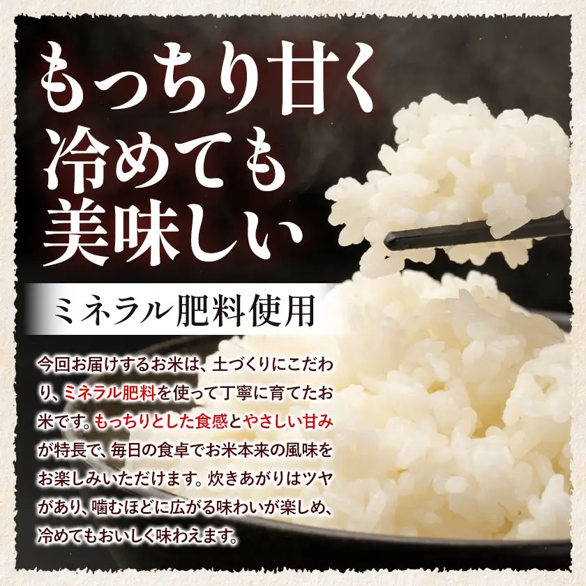 【6ヶ月定期便】＼熊本県 南関町産／ 令和7年産 米 白米 10kg(5kg×2袋) /月 ひのひかり《お申し込み月の翌月から出荷開始》 ミネラル肥料栽培米 精米 国産米 単一原料米 ごはん お米 ご飯 九州産 ヒノヒカリ ブランド米 有限会社古賀商店 ふるさと納税 熊本