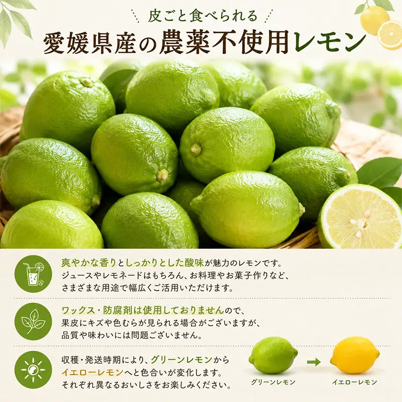 レモン 約2kg グリーンレモン イエローレモン 家庭用【DRM007】