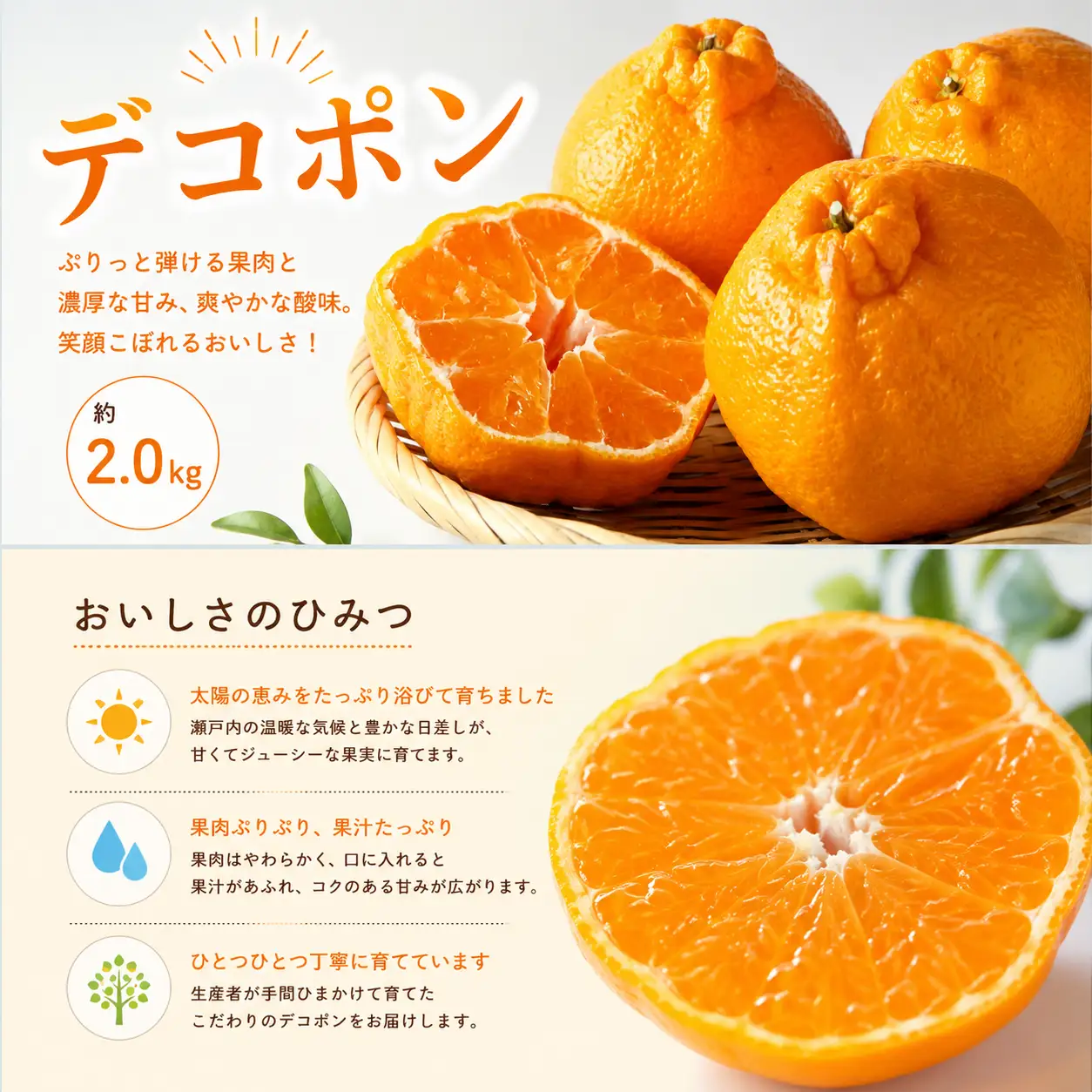 【3月上旬より発送】 デコポン 不知火 約2.0kg 