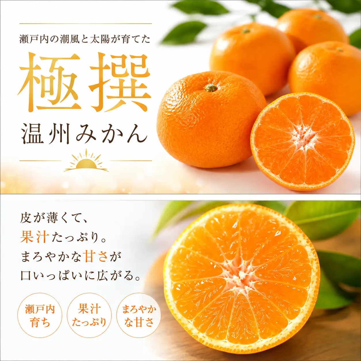 【10月中旬より発送】極撰 温州みかん  約3.0kg 