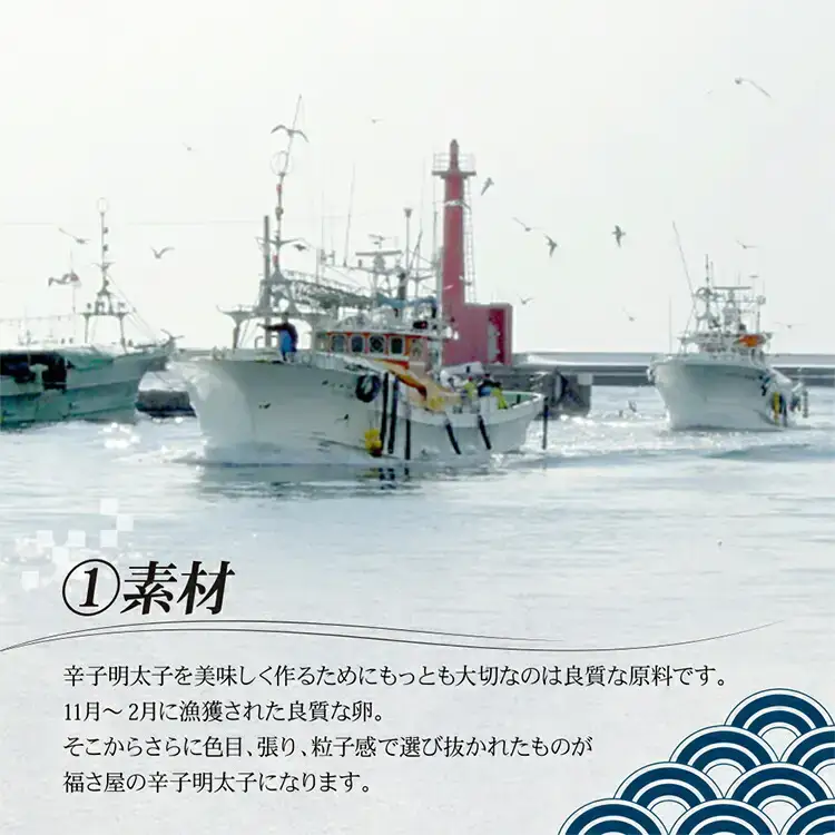 訳あり 無着色辛子めんたい 500g CR005