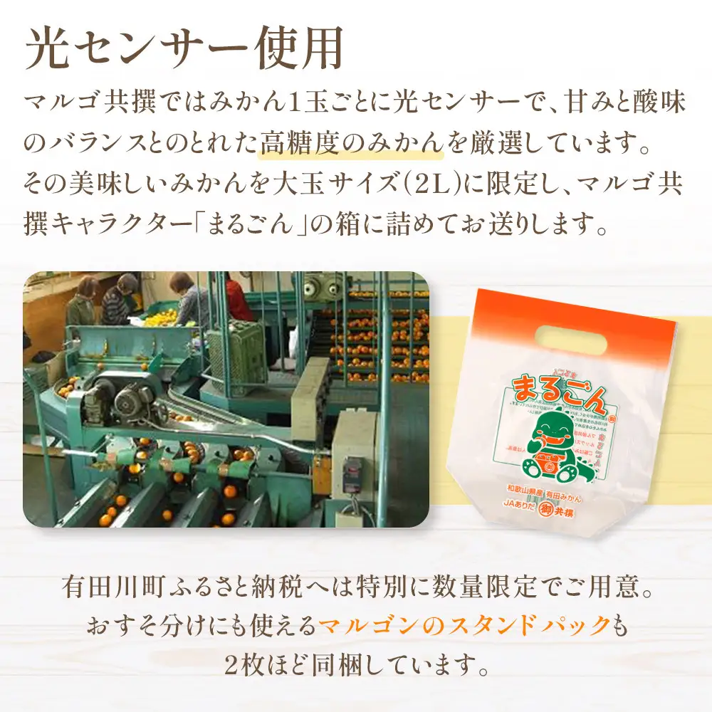 有田みかん 4kg 2Lサイズ 光センサー使用 高糖度