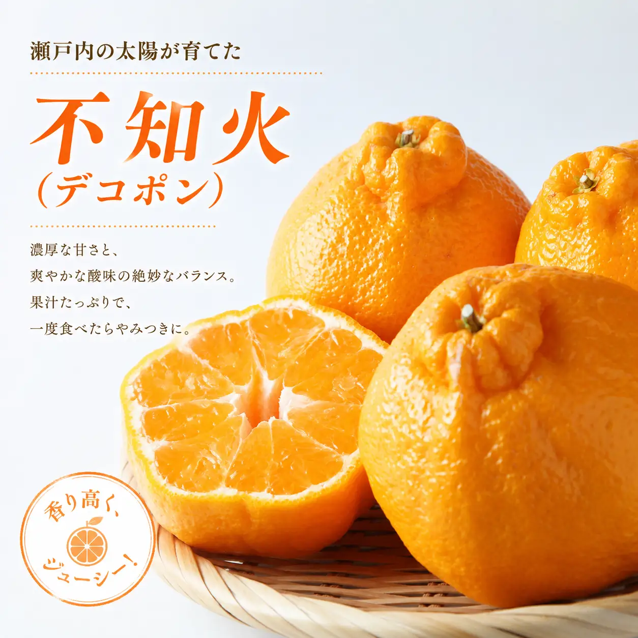 【4月中旬より発送】 デコポン 貯蔵デコポン 不知火 約2.0kg  