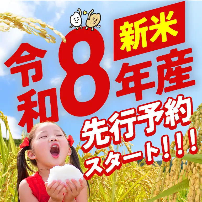 米 精米 定期便 10kg 12ヵ月 令和8年産 にじのきらめき 新米 FH-031