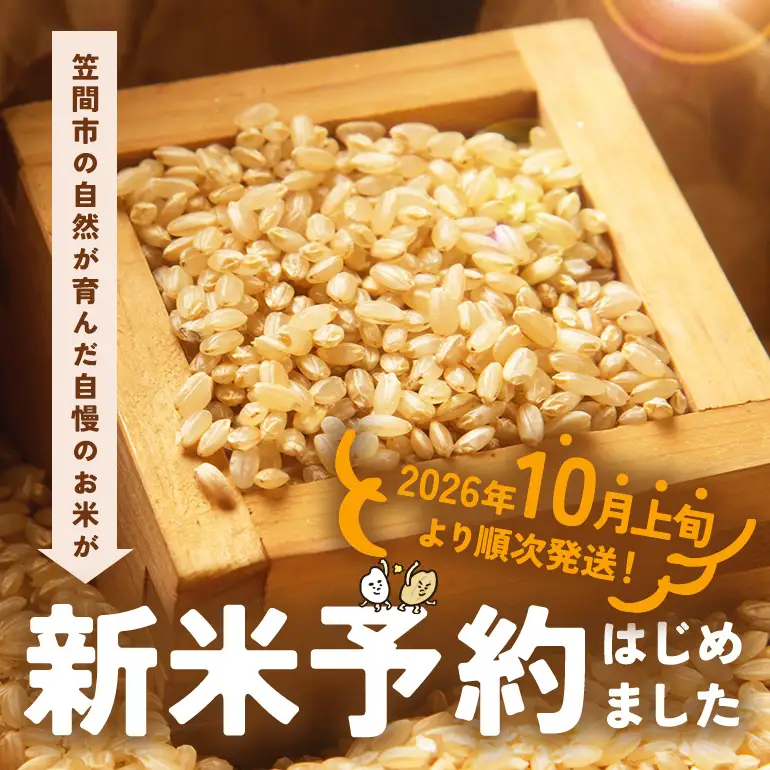 玄米 米 定期便 10kg 12ヵ月 令和8年産 にじのきらめき お米 FH-032