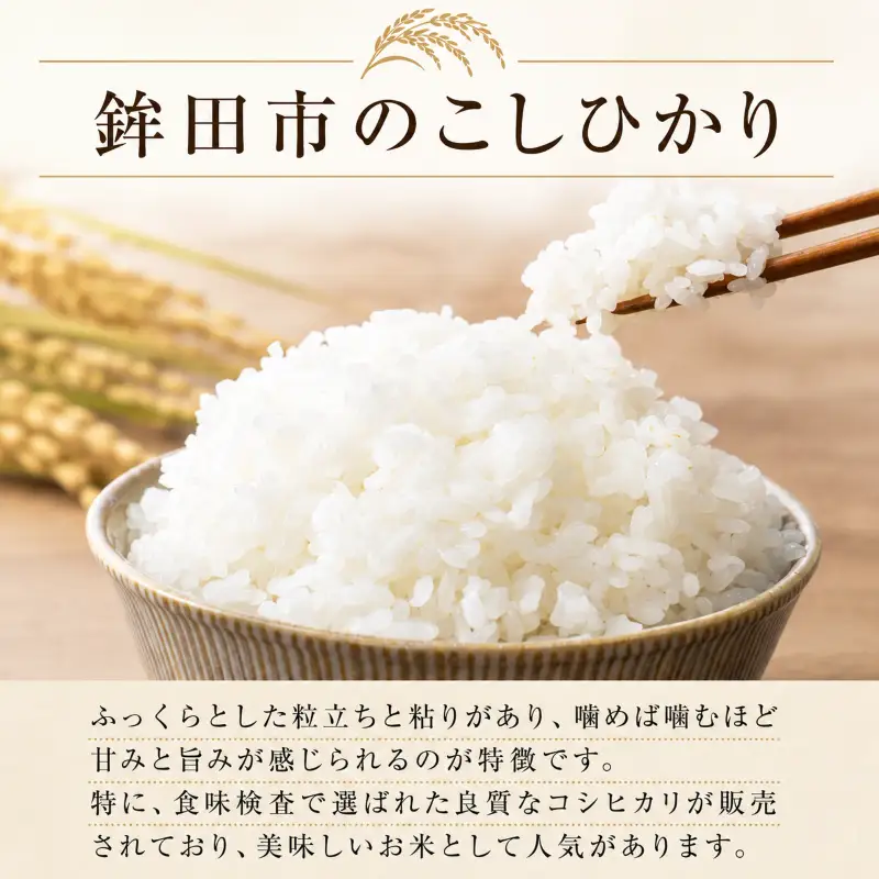 米 コシヒカリ 白米 5kg やさしいお米 お米 こしひかり 精米 おこめ こめ コメ okome ご飯 未精米 国産 茨城県 鉾田市 合同会社はぐくみのもり