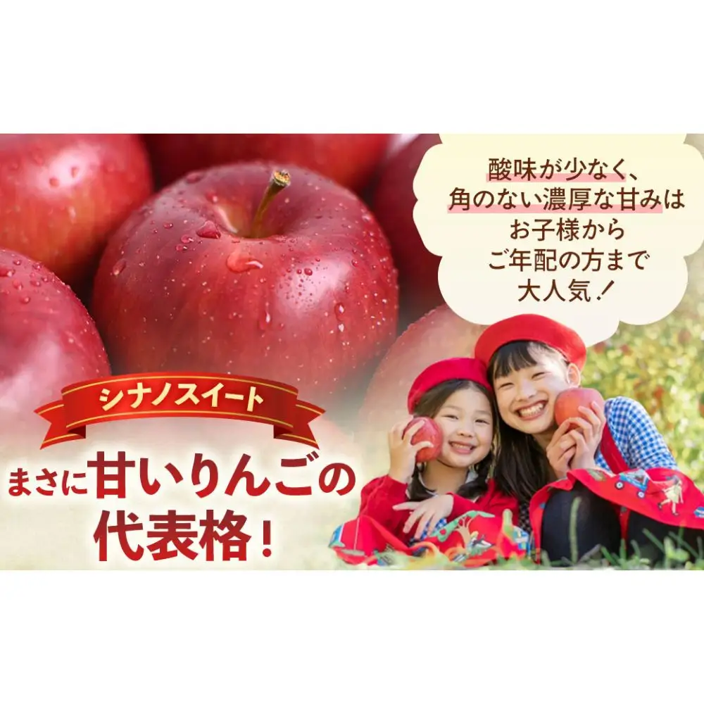 旬のりんご定期便 人気りんご食べ比べ 3回 定期便：シナノスイート（5kg）・王林（5kg）・サンふじ（5kg）【2026年産・先行予約】★2026年10月中旬～1月下旬頃まで発送予定★