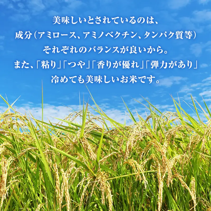 令和7年産 特別栽培米 コシヒカリ 玄米 10kg 静岡県産 色彩選別済 食に