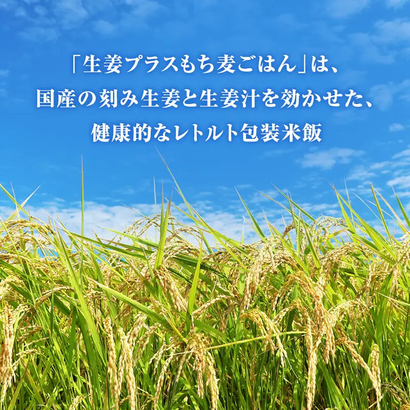 パックご飯 生姜プラス特別栽培米 もち麦ごはん 36個入り 3ヶ月定期便 静岡県 袋井市【離島配送不可】