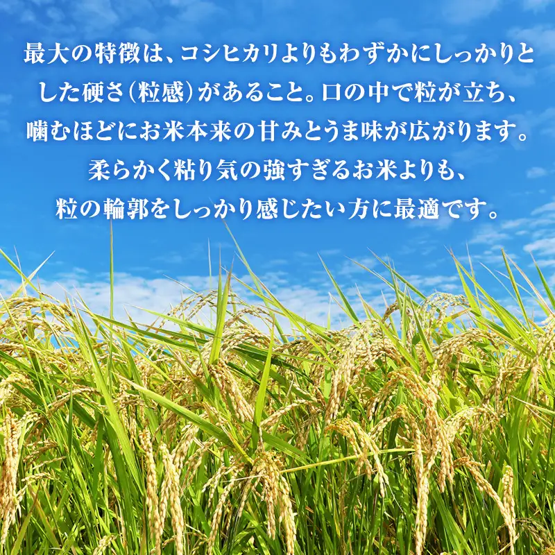 令和8年度産 ほしじるし 3kg 精米 米 静岡県 袋井市【離島配送不可】