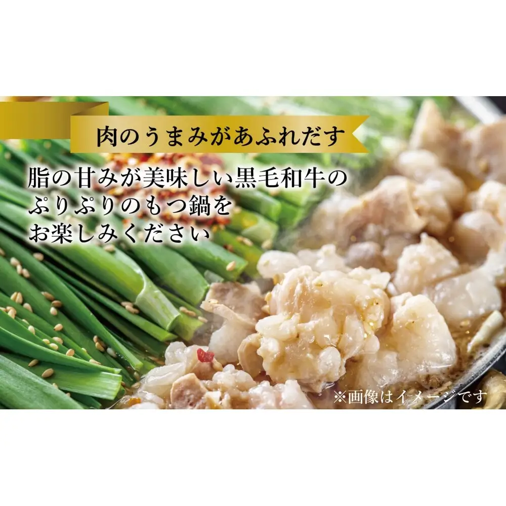 定期便 3回 【福岡市】 黒毛和牛 もつ鍋 白濁 鶏ガラスープ醤油スープ 6～8人前セット