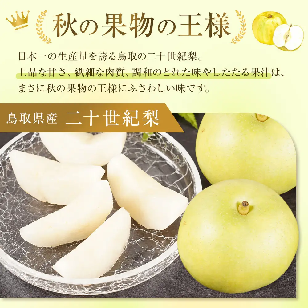 【2026年9月発送】訳あり 鳥取県産 二十世紀梨 5kg (10玉～18玉)