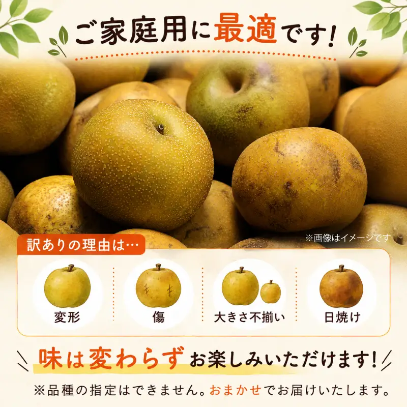 [訳あり] 梨 約5kg 先行予約 茨城県産 あきづき にっこり