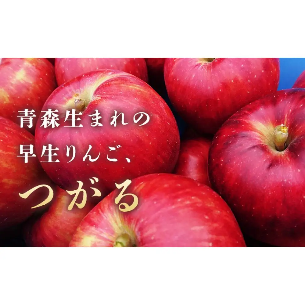 旬のりんご定期便 旬のりんごリレー 5回 定期便 ： つがる（5kg）・シナノスイート（5kg）・ぐんま名月（5kg）・はるか（3kg）・サンふじ（5kg）【2026年産・先行予約】★2026年9月上旬～2027年1月下旬頃まで発送予定★