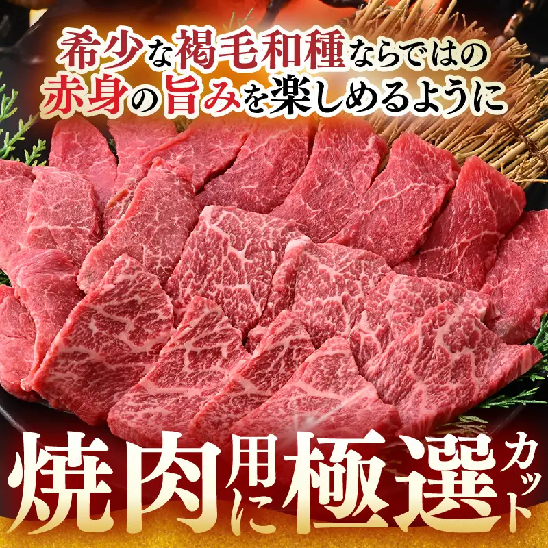 希少 越前福牛 旨み極まる 赤身焼肉盛り合わせ 450g 牛肉 国産和牛 焼肉 冷凍 贈答 ギフト [B-1808] 
