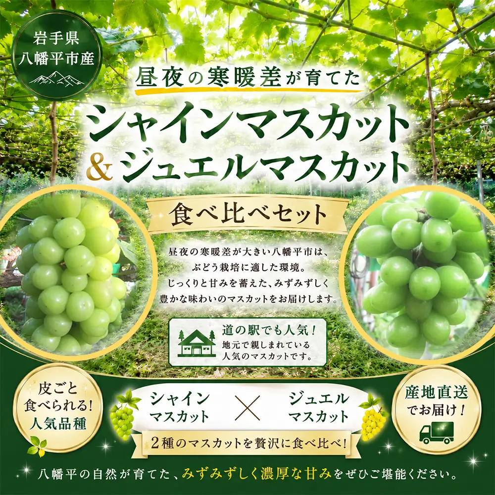 2026年10月中旬発送開始予定！【数量限定】 食べ比べ！八幡平市産 シャインマスカット＆ジュエルマスカット 約1.2kg 家庭用 ／ 佐々木ぶどう園 ますかっと ぶどう 葡萄 ブドウ 旬 新鮮