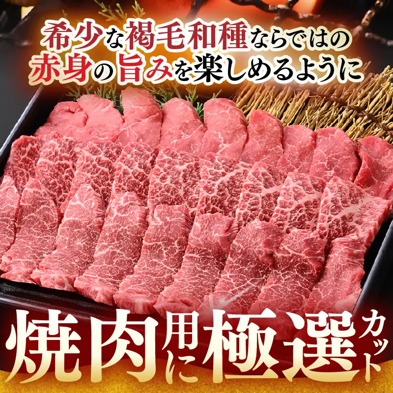希少 越前福牛 旨み極まる 赤身焼肉盛り合わせ 600g 牛肉 国産和牛 焼肉 冷凍 贈答 ギフト [B-1809] 