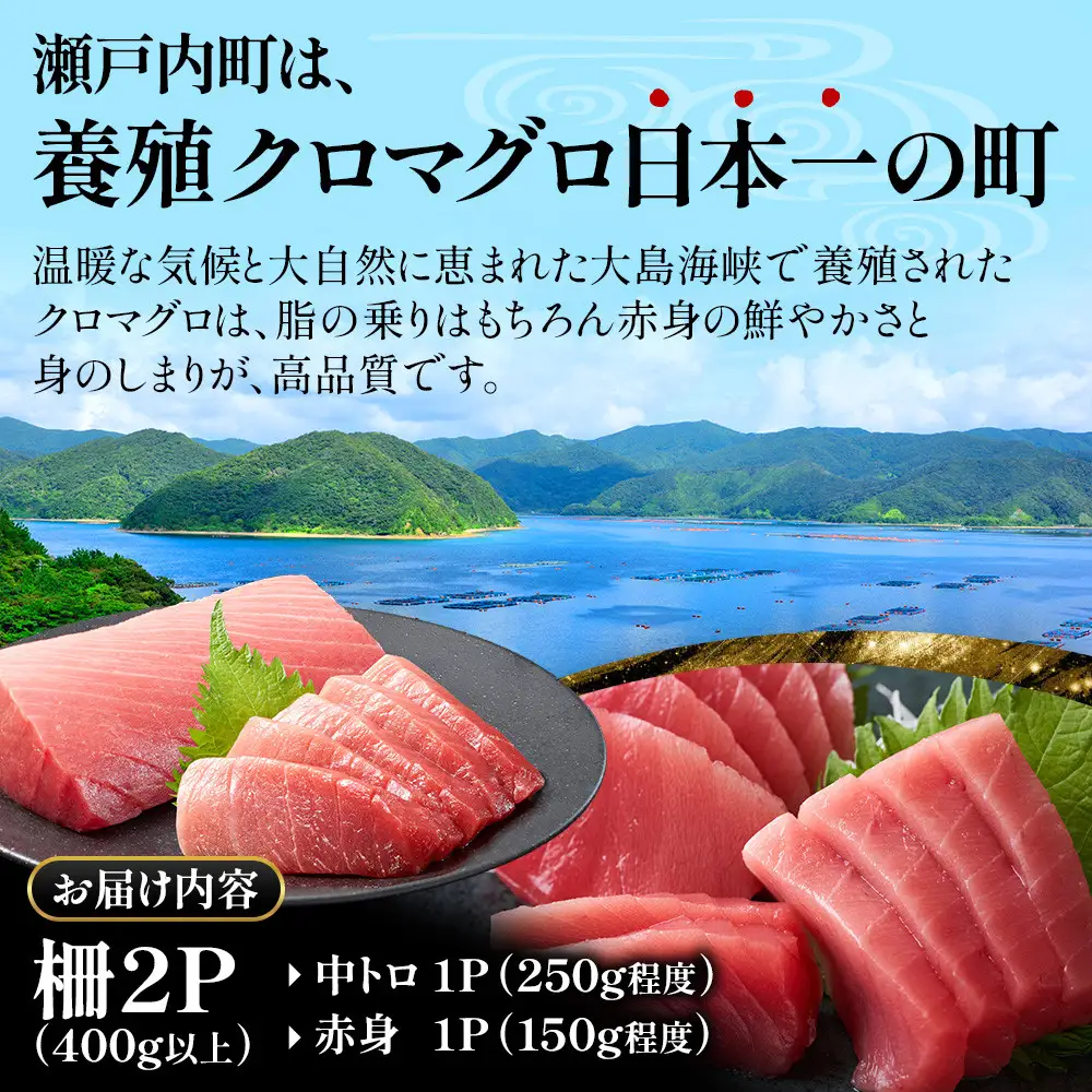 【3回定期便】奄美大島産養殖クロマグロ 2柵セット