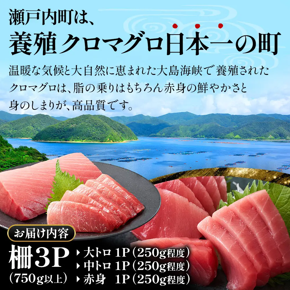 【3回定期便】奄美大島産養殖クロマグロ 3柵セット 750g以上